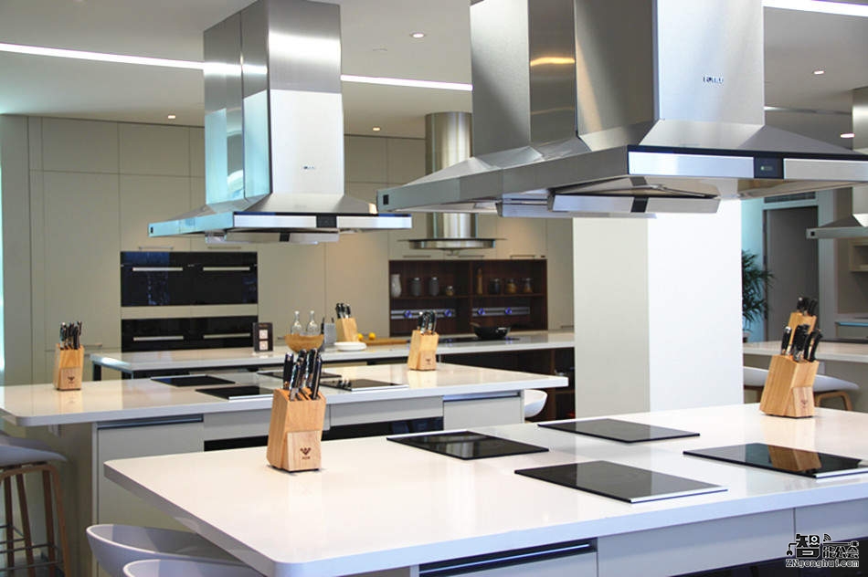 智能公会 方太生活家