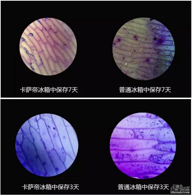 显微镜下的新鲜场景 卡萨帝云珍冰箱发布家博会 智能公会