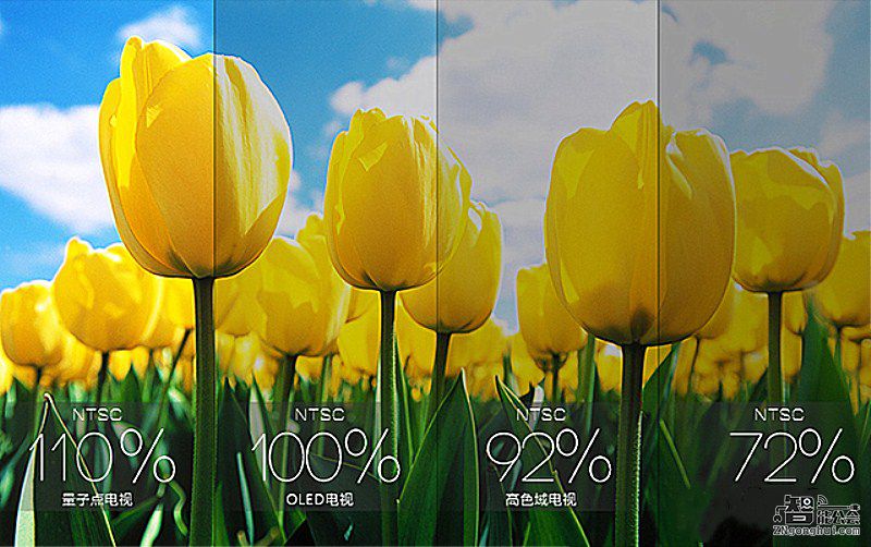还在纠结该买LED电视还是OLED电视？看完这个你就知道了 智能公会
