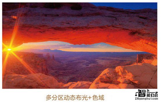 拯救节后综合症 你需要一款大屏电视一扫阴霾 智能公会