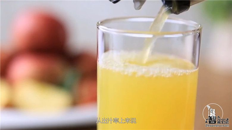 同样是DIY果汁，榨汁机和原汁机究竟有何不同？ 智能公会