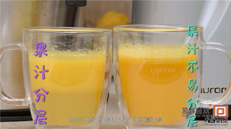 同样是DIY果汁，榨汁机和原汁机究竟有何不同？ 智能公会