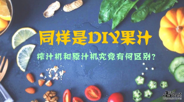 同样是DIY果汁，榨汁机和原汁机究竟有何不同？ 智能公会