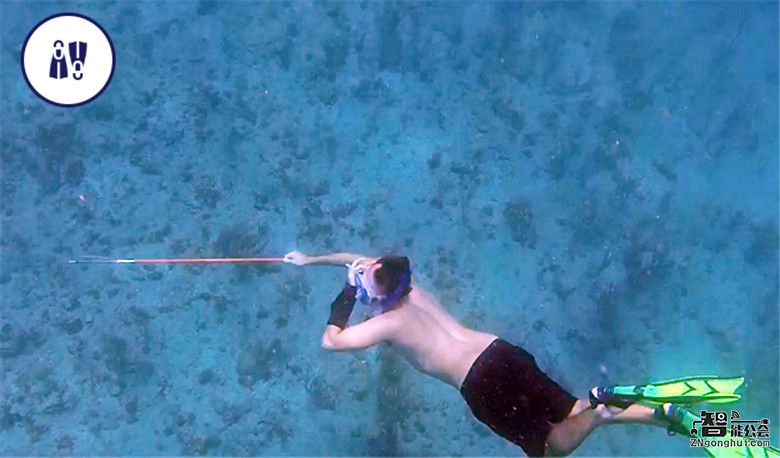 年轻人的最爱 老年人的福利 如此“尤物”谁能不爱？ 智能公会