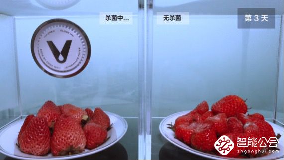 趣味实验：万万没想到草莓最终下场竟然会变这样 智能公会