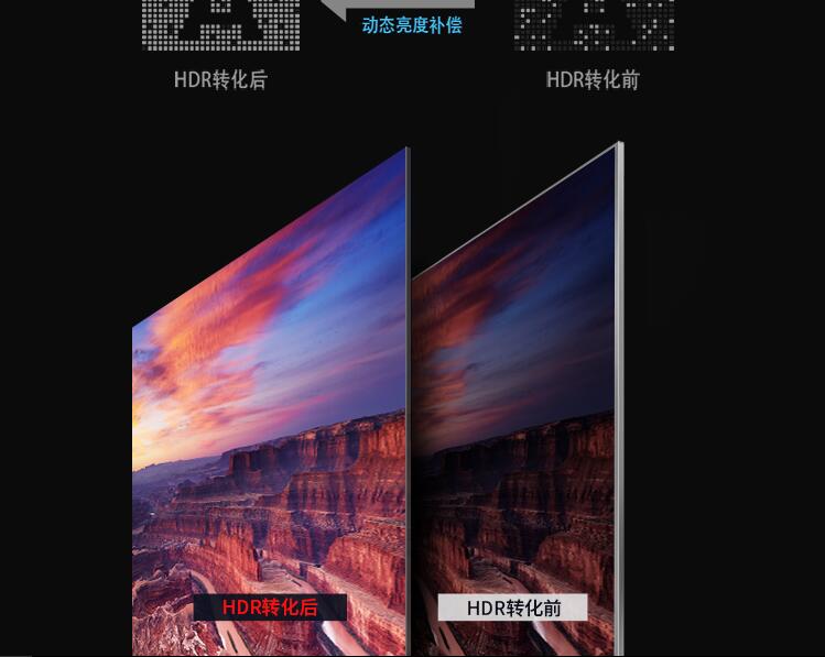 空巢青年，说的是你吗？ 智能公会