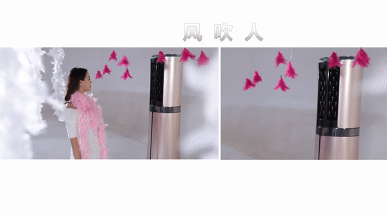 空调竟然能吹出聪明风？看看这组羽毛实验就知道了 智能公会