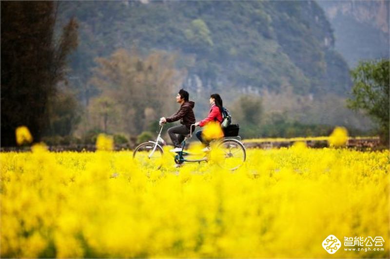 清明节，一个沉重与轻松并存的节日 智能公会