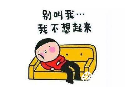 一边哼着小曲一边就能将房子打扫的干净明亮，小狗真的帮大忙了 智能公会