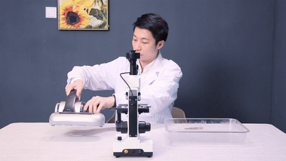 你已经那么痒了，还在允许它们造作 智能公会