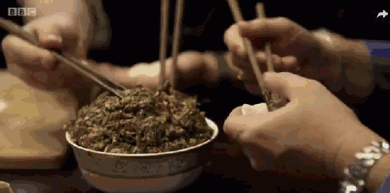 冬至：想知道为啥你煮的饺子总是破皮吗？ 智能公会