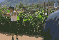 日系德系两个最强门面，不用纠结告诉你怎么选 智能公会