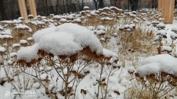 荣耀V30 PRO 随时记录生活中的点滴精彩 智能公会
