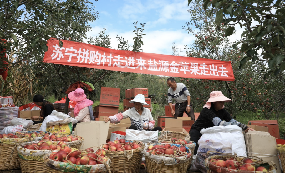 苏宁发布战汛六条，以旧换新补贴超1亿 智能公会