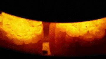 不惧多样需求  九阳蒸汽炸锅SF1征服你的味蕾 智能公会