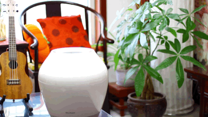 我用亲身经历告诉你 巴慕达和戴森加湿器如何二选一？ 智能公会