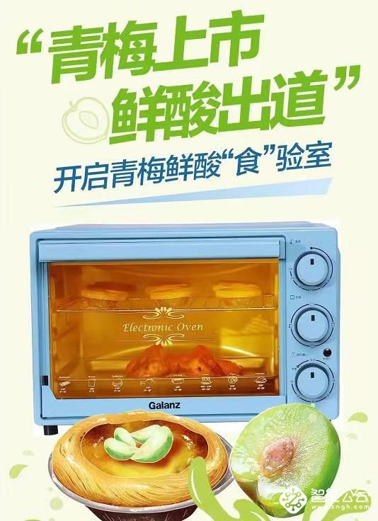 国民家电牵手零食品牌，格兰仕创新引领“联盟营销”！ 智能公会