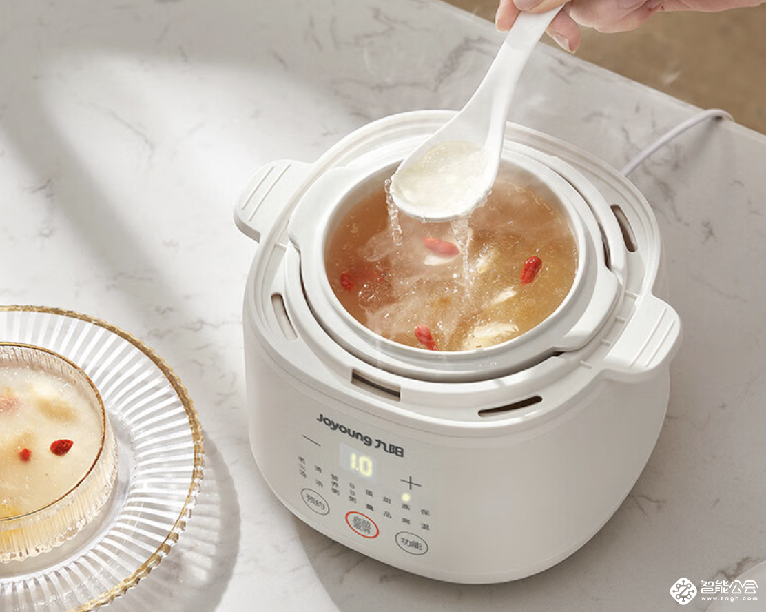 九阳电炖锅DG10G-GD103：一锅烹饪百种美味 智能公会