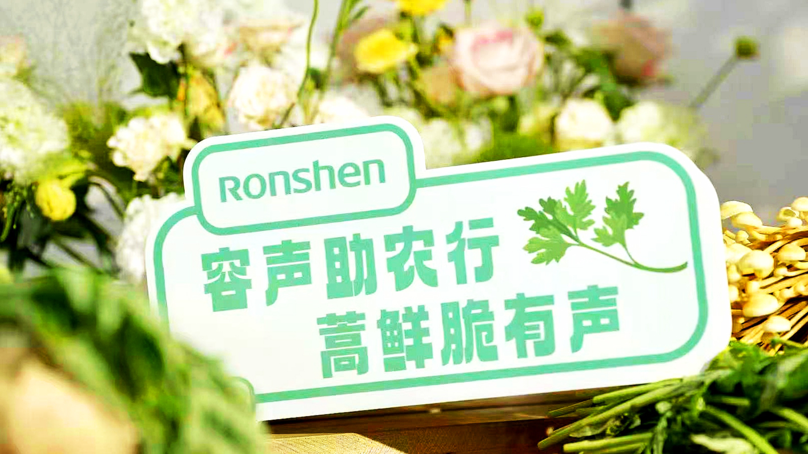 “ 爨”起生活鲜意 容声冰箱“寻鲜之旅”助农计划陆良活动举行 智能公会