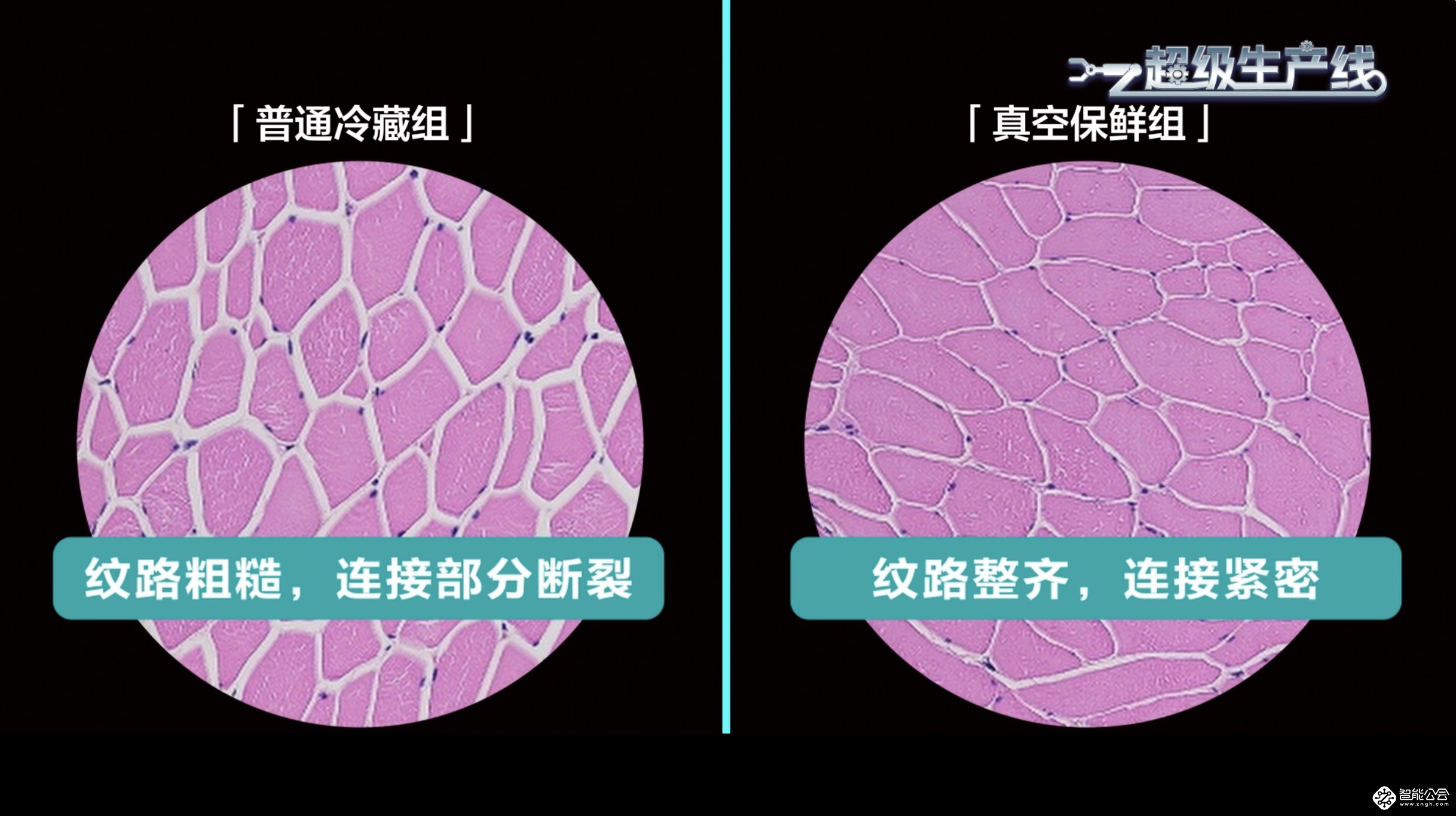 世俱杯赛场上的“MVP”海信真空冰箱，被央视“种草”了! 智能公会