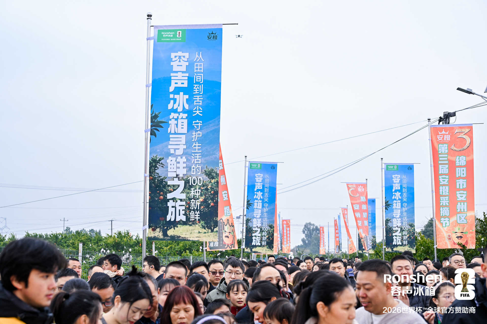 从枝头到舌尖：容声冰箱助力“安橙”鲜活直达黄金风味 智能公会